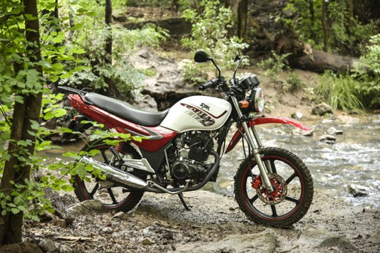 TRAIL BLAZE 200 – DELIVERY BIKE