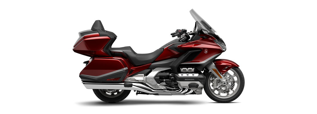 THE GOLDWING