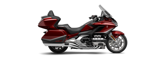 THE GOLDWING