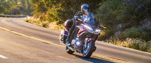 THE GOLDWING