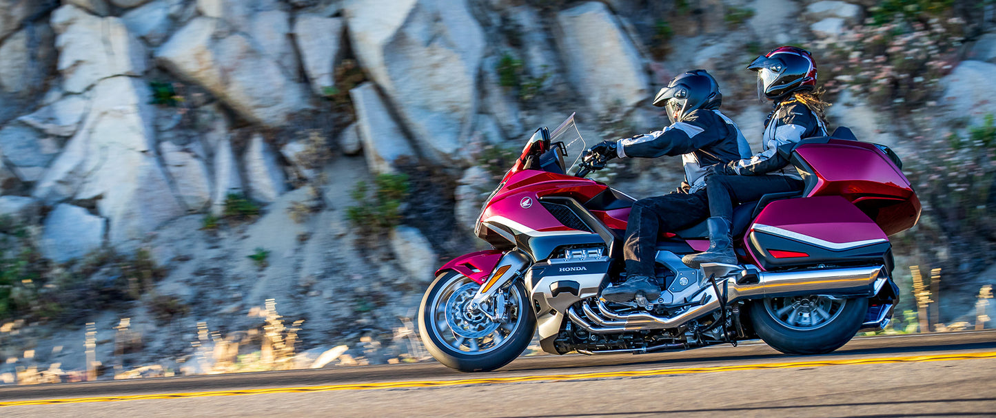 THE GOLDWING