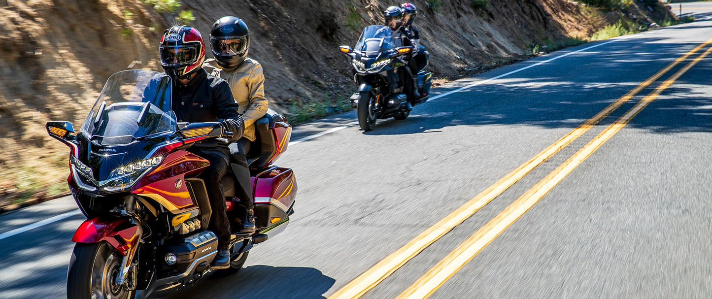 THE GOLDWING