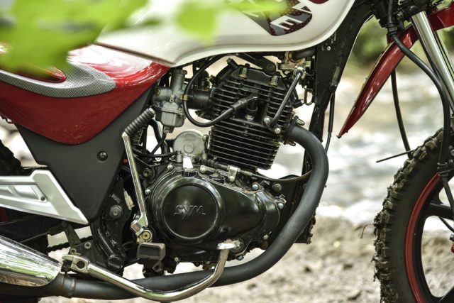TRAIL BLAZE 200 – DELIVERY BIKE